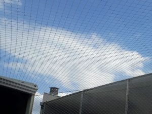 Redes de segurança em prédios em São Paulo
