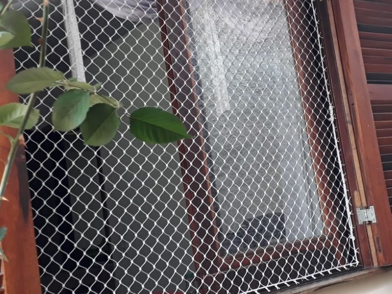 Proteja animais com rede residencial em São Paulo