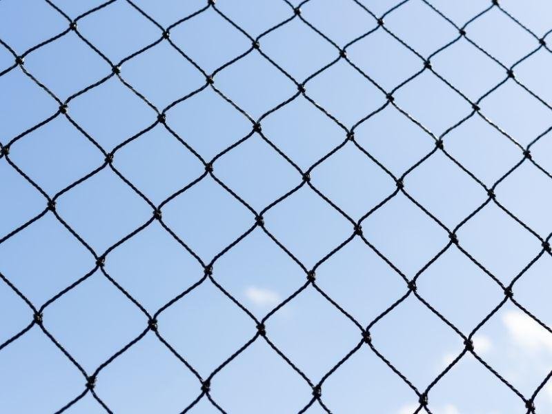 Garanta a segurança de animais com tela de proteção em São Paulo