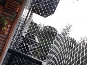 Redes de segurança anti-pombos em São Paulo