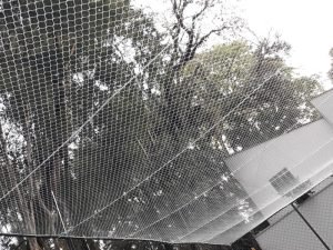 Redes de segurança para piscinas em São Paulo