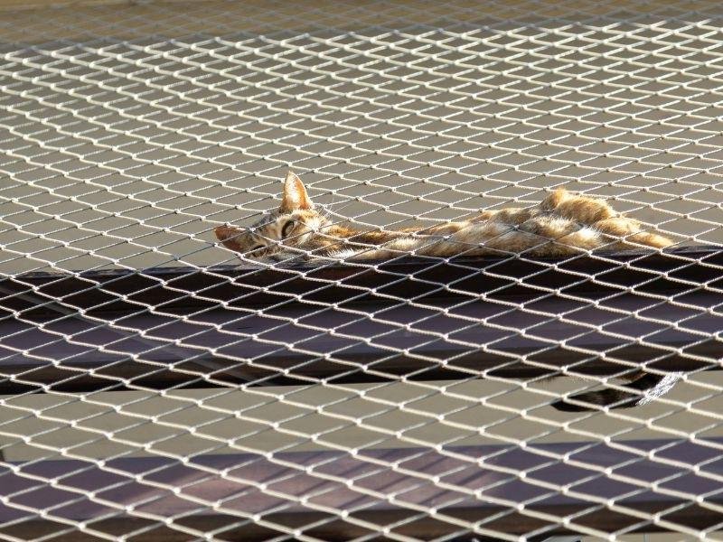 Tela de segurança de alta resistência em Carrão, São Paulo