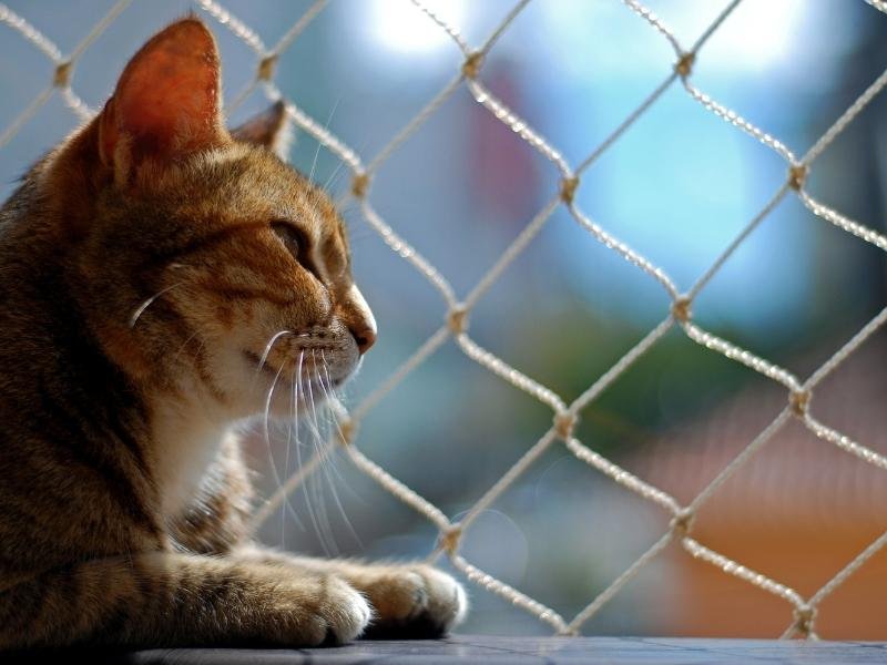 Garanta a segurança de sua família com rede residencial em Vila Mariana, São Paulo