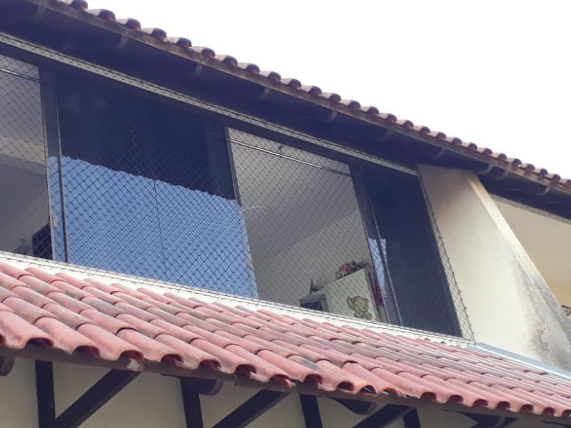 Rede de Proteção para Gatos em São Paulo Rede de Proteção para Gatos em São Paulo